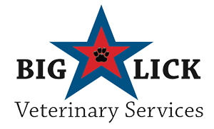 Big Lick Veterinary Services
