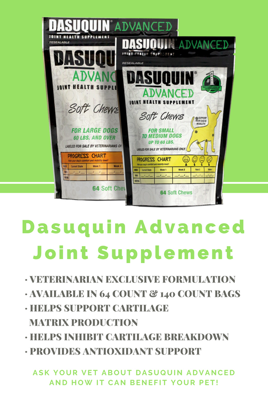 dasuquin for dogs