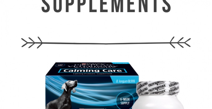 Managing Canine Anxiety With Supplements