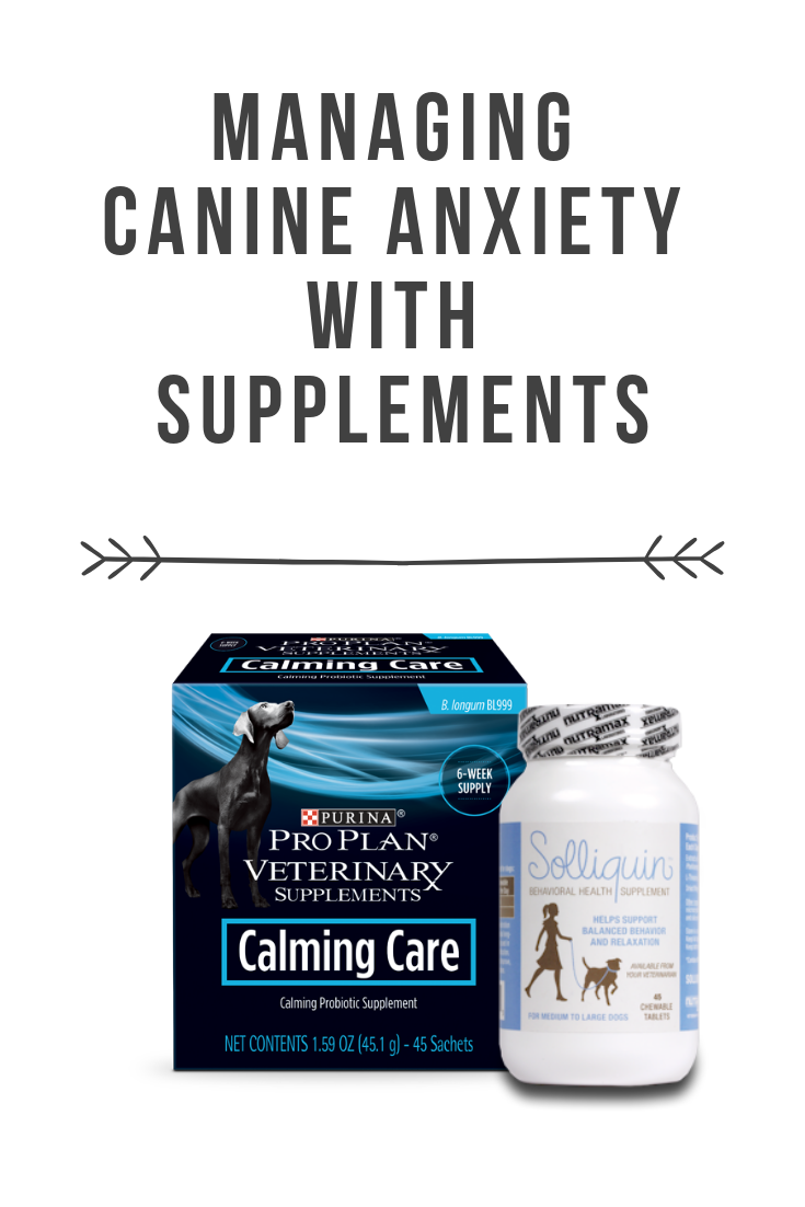 Calming probiotic sale for dogs