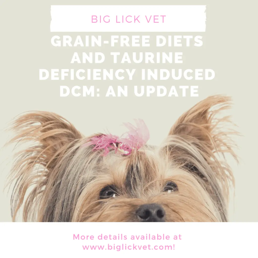 dcm image