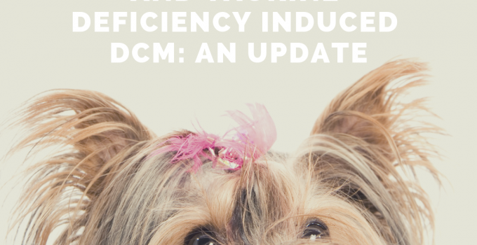 dcm image