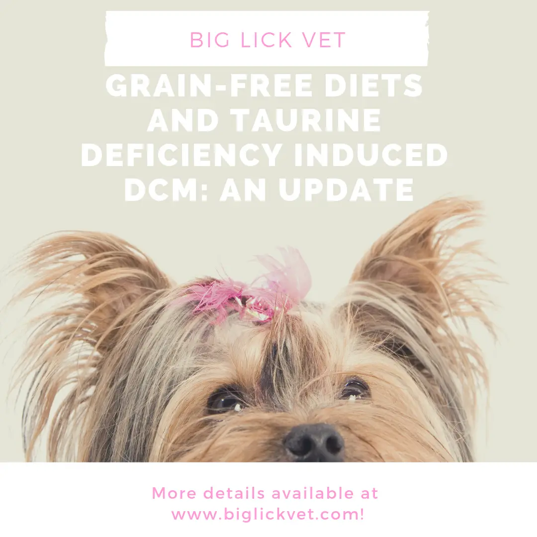 dcm image