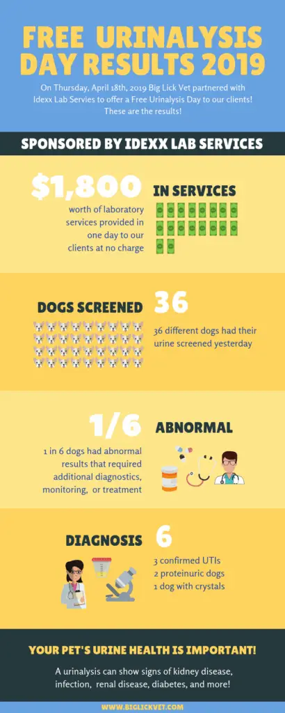 REAL ua day stats