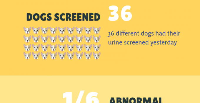 REAL ua day stats