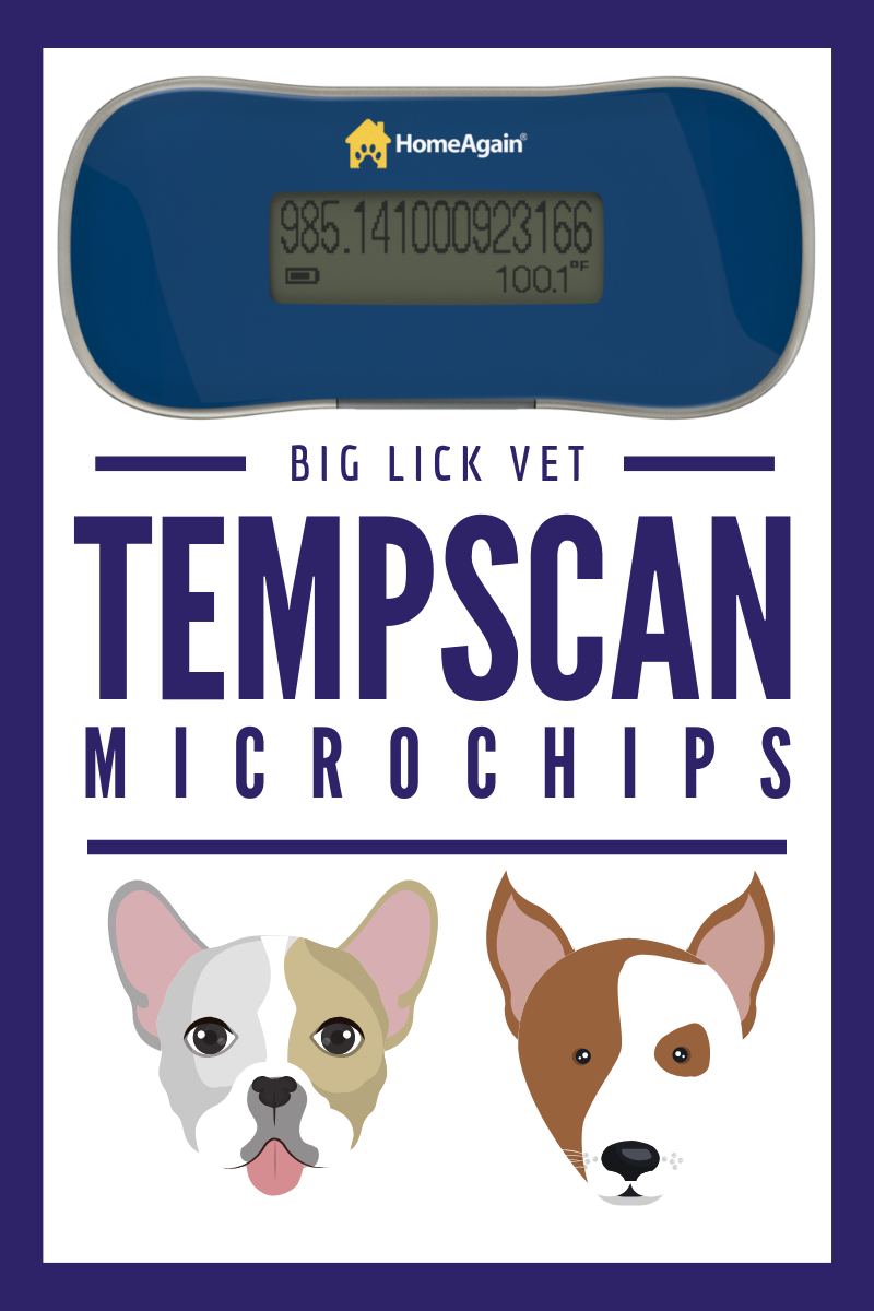 Introducing Our New Temperature Scanning Microchip | Big Lick Veterinary  Services