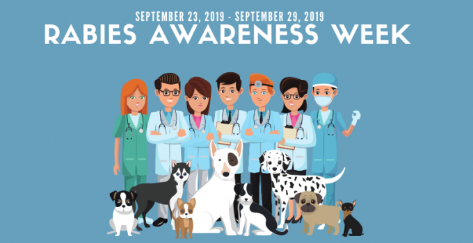 Rabies Awareness Week 2019