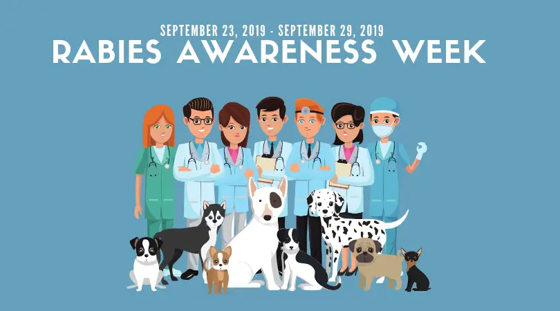 Rabies Awareness Week 2019