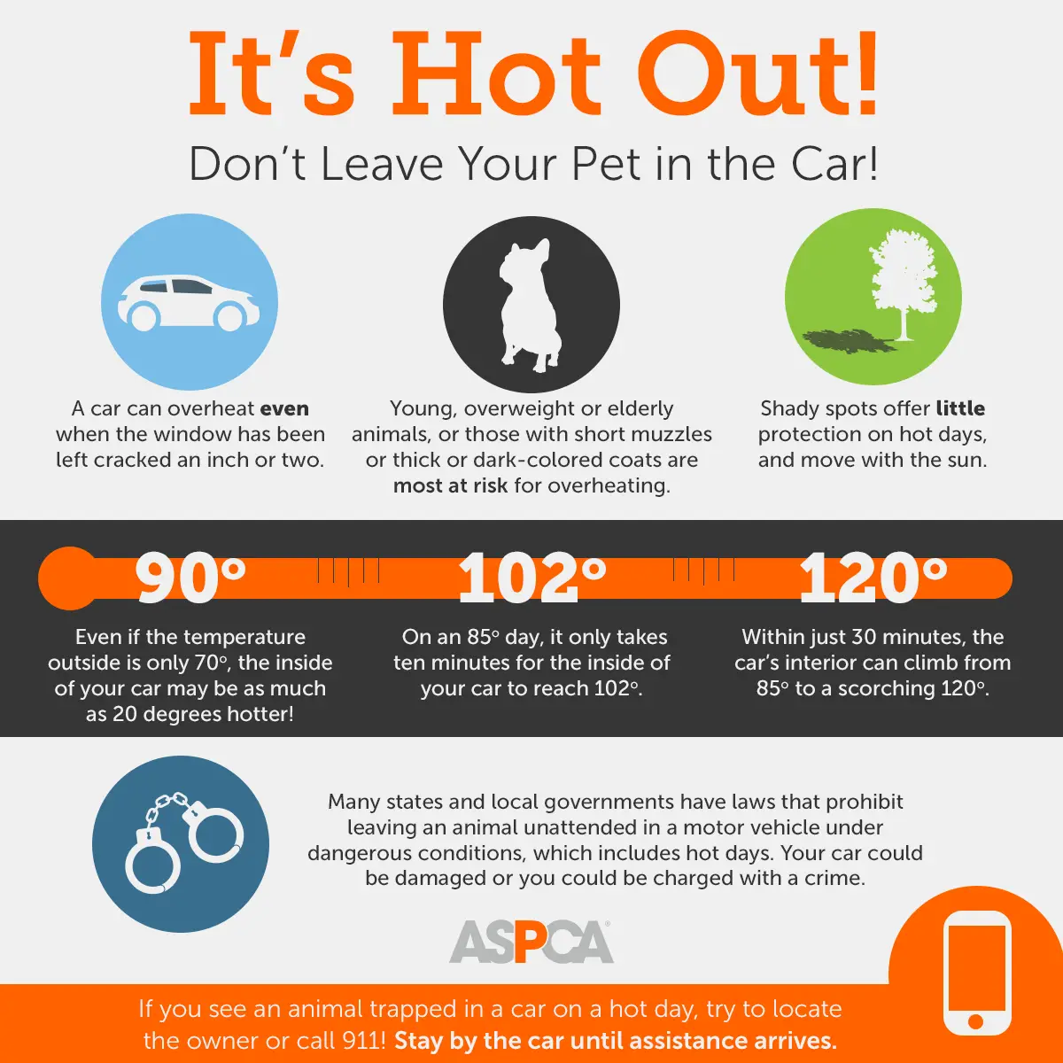 8 Tips To Beat The Heat And Keep Your Pets Safe This Summer