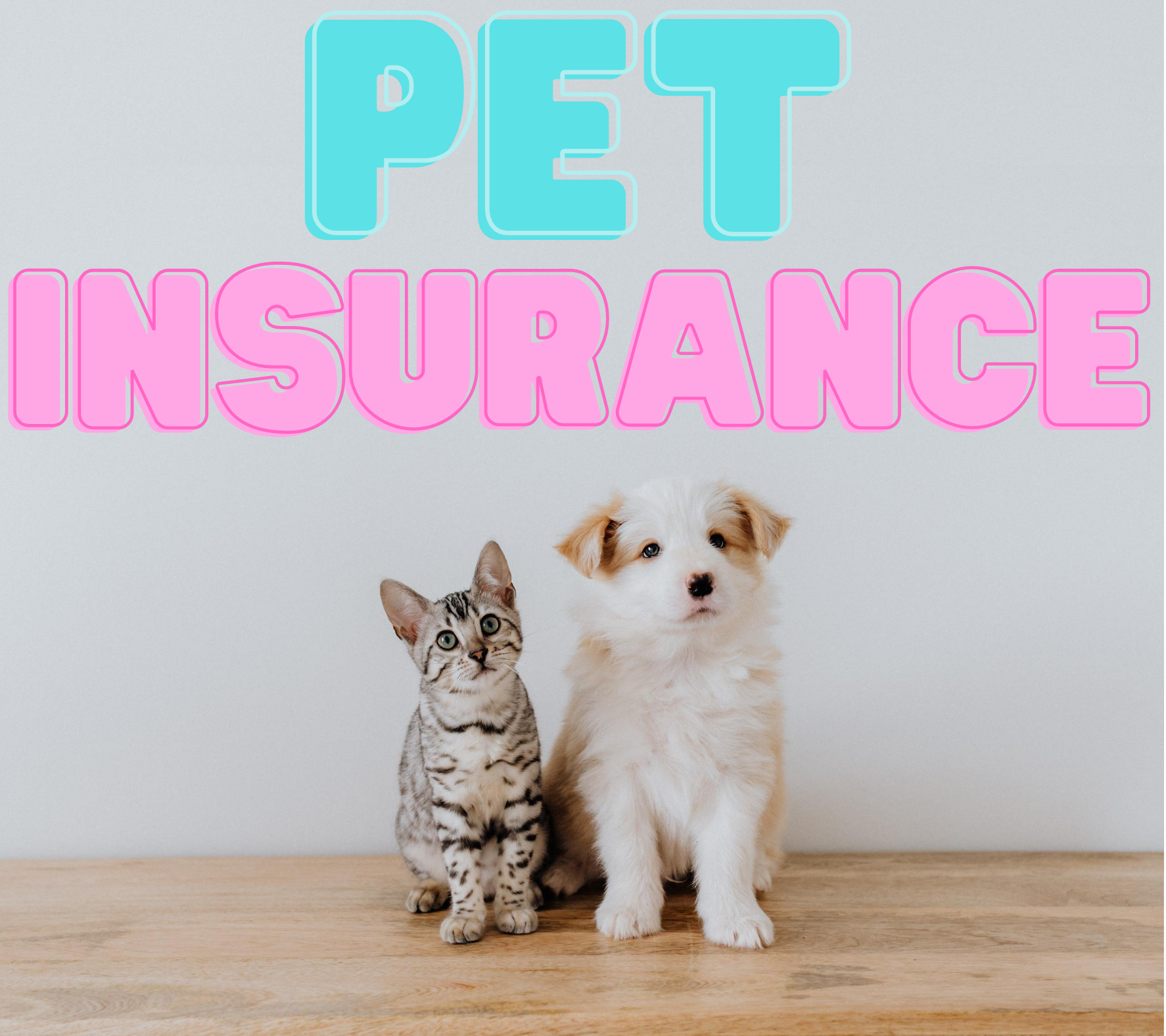 Pet Insurance: Protecting Your Furry Friend’s Health and Your Wallet