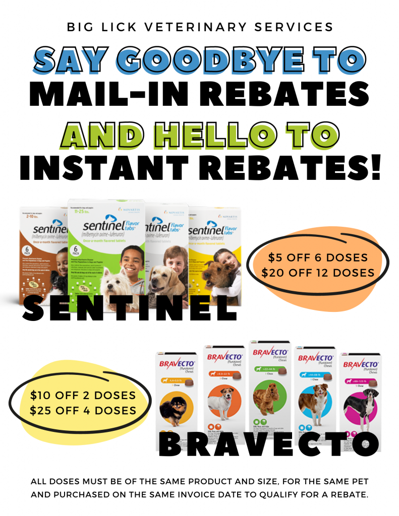 instant-rebates-are-here-big-lick-veterinary-services