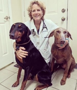 Dr Nelson Website Pic_Kim Hare