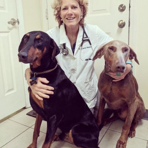Dr Nelson Website Pic_Kim Hare