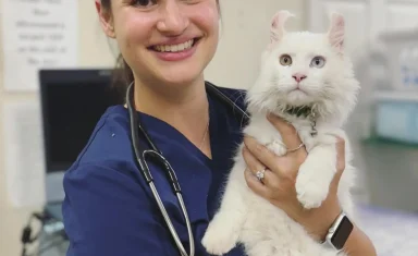 A large white cat is held by Dr. Soffin at Big Lick Veterinary Services in Roanoke, VA.